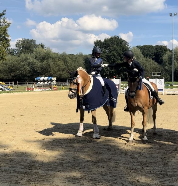 Haflinger Trophy A+L-Tour_013