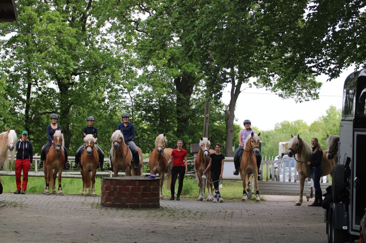 Haflingerlehrgang05.22_0001