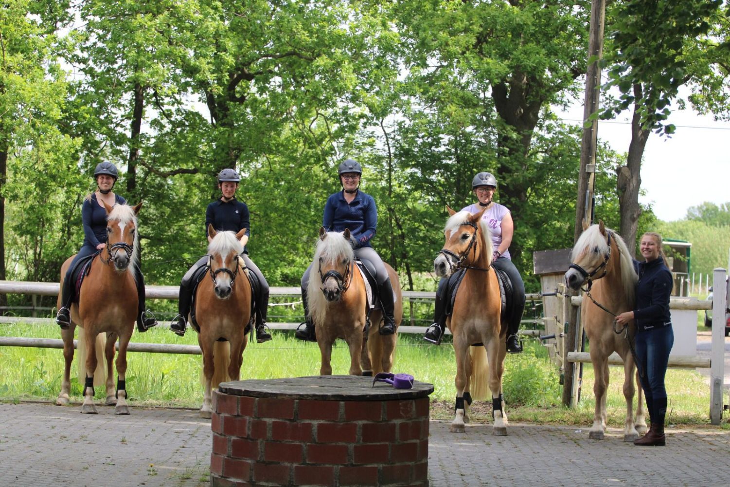 Haflingerlehrgang05.22_0002