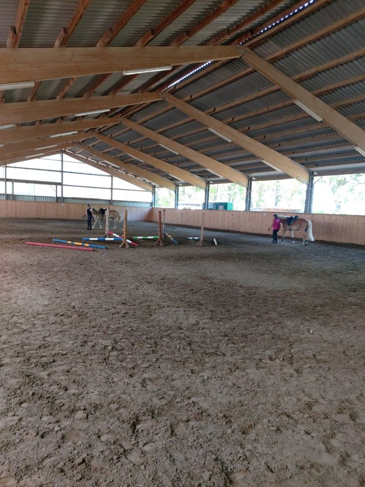 Haflingerlehrgang05.22_0012