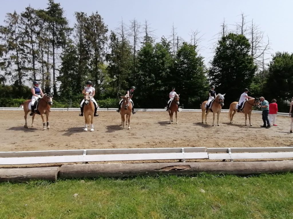 Ochtrup Hafi A 2022_0018