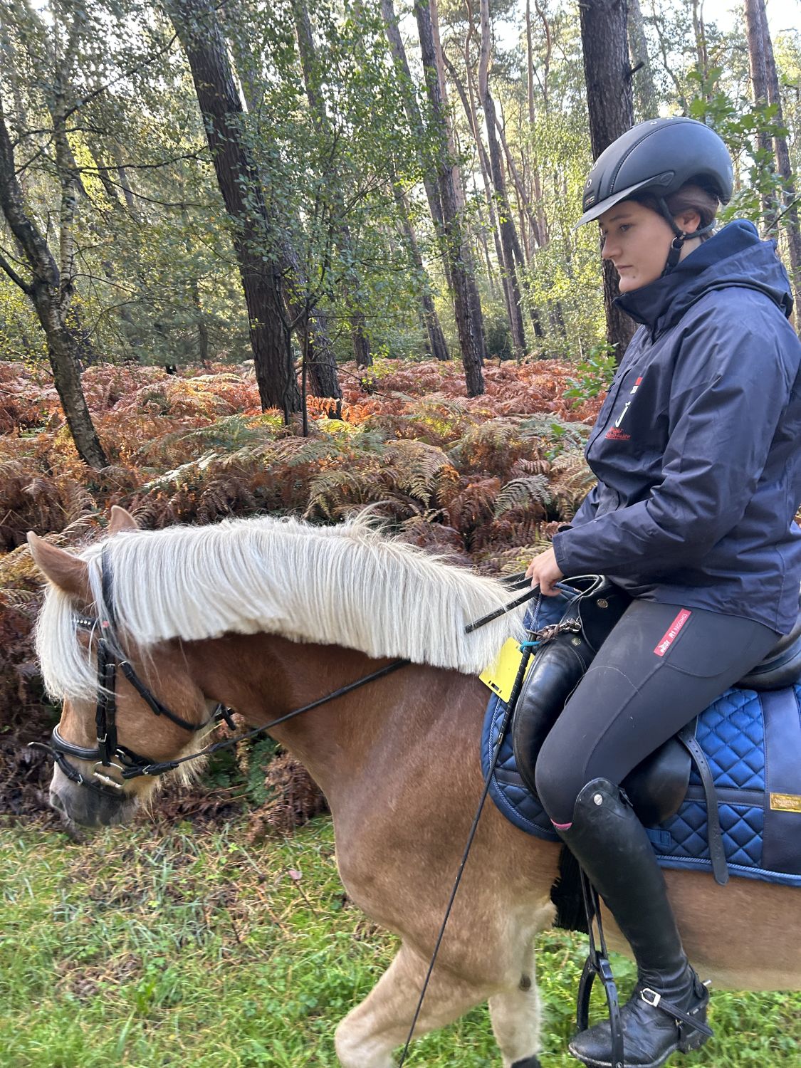 Haflingerausritt_HoheMark2023_0013