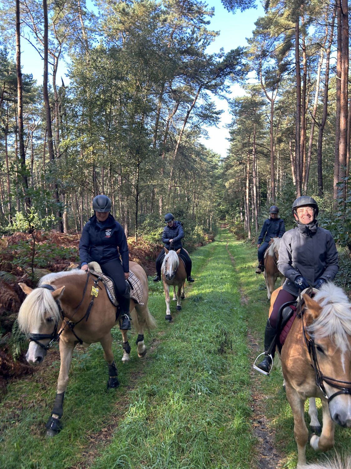 Haflingerausritt_HoheMark2023_0014