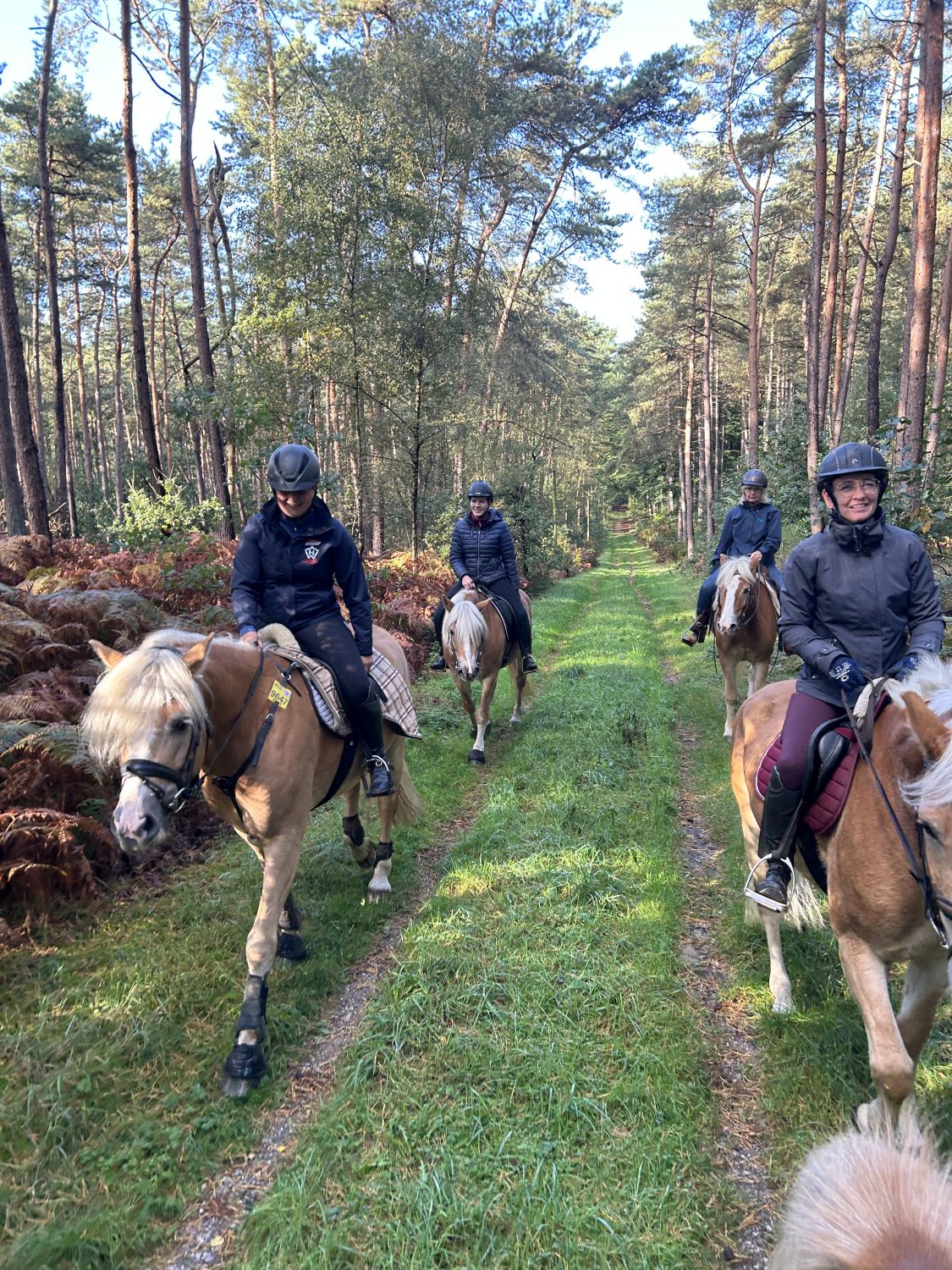 Haflingerausritt_HoheMark2023_0015