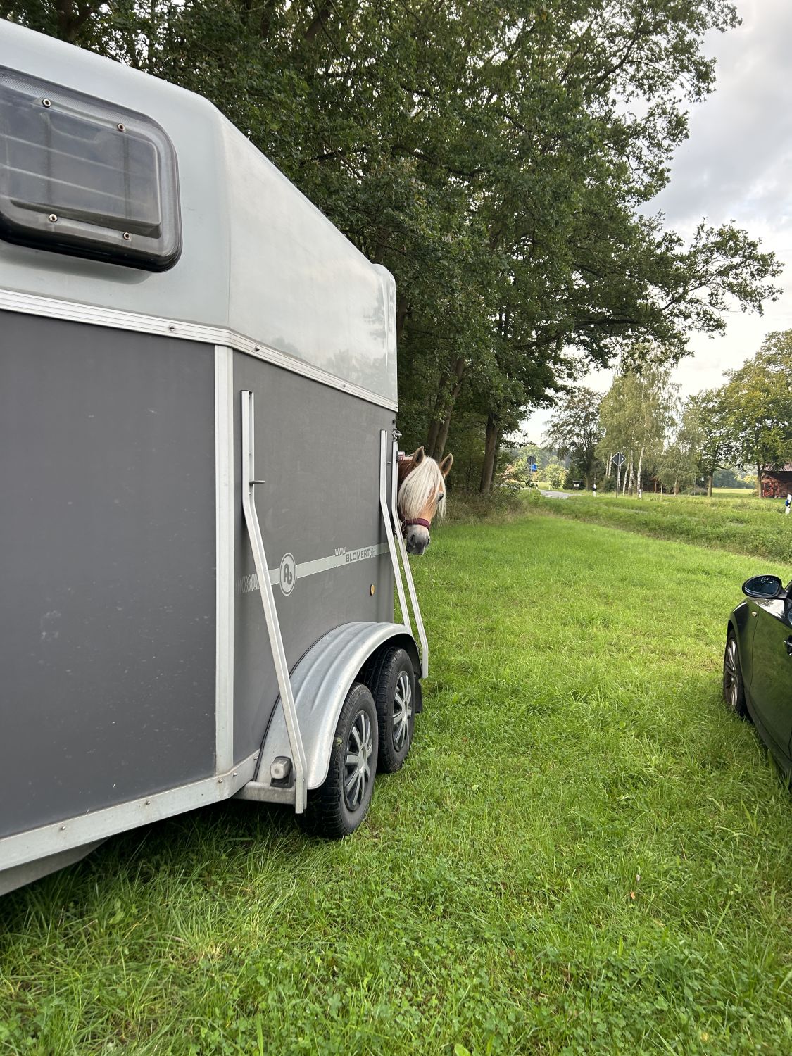 Ausritt_Warendorf_17.09.23_0001