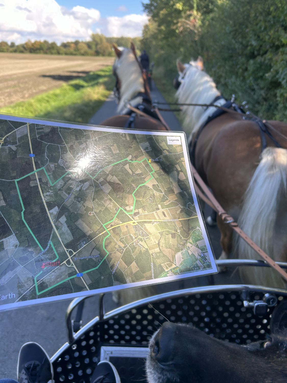 Werne_Ausfahrt24_0028