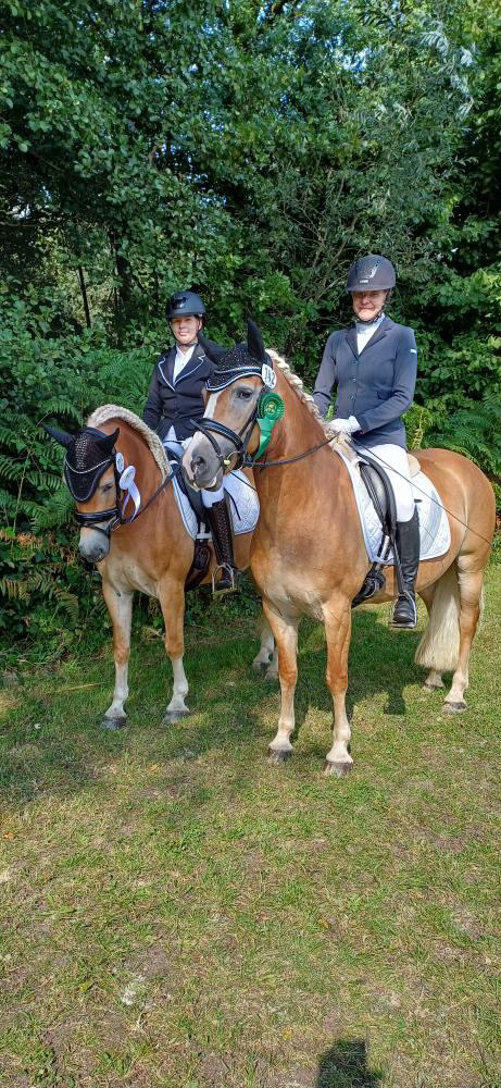 Haflingerpr&uuml;fung Schlangen 31.08.24_0002