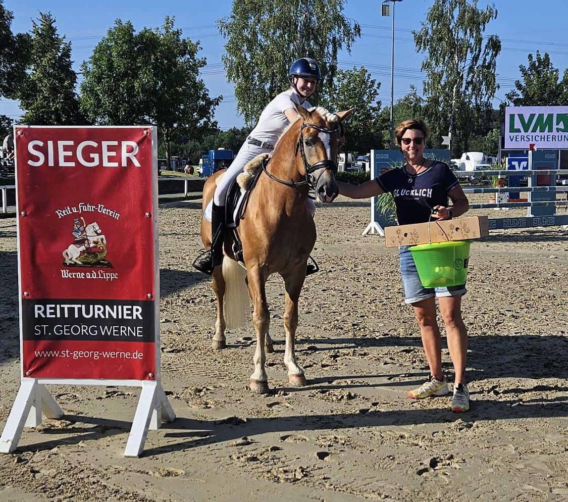 Haflingerpr&uuml;fung Werne 24.08.24_0002