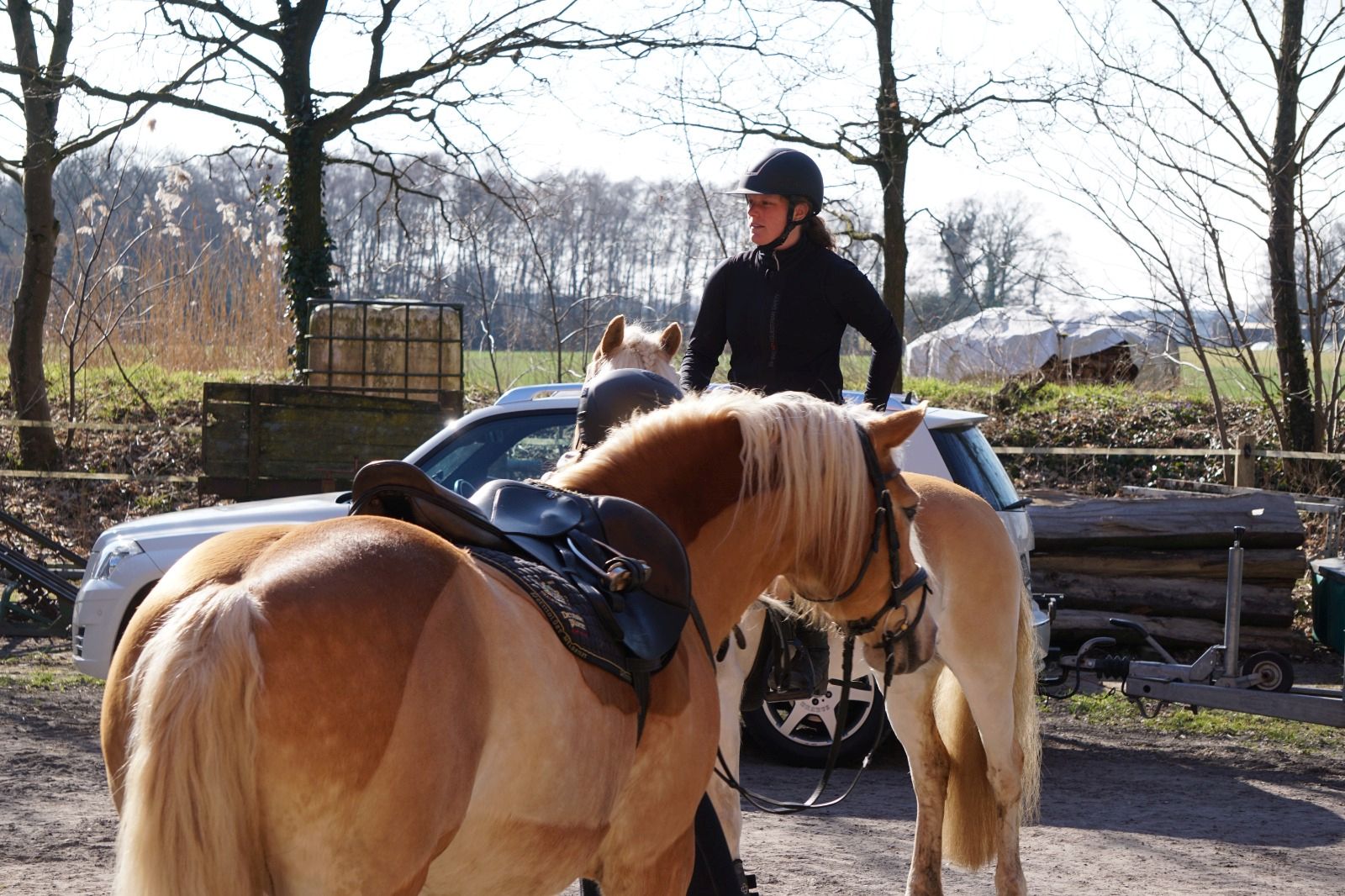 Haflingerausritt_BadLaer2025_0003