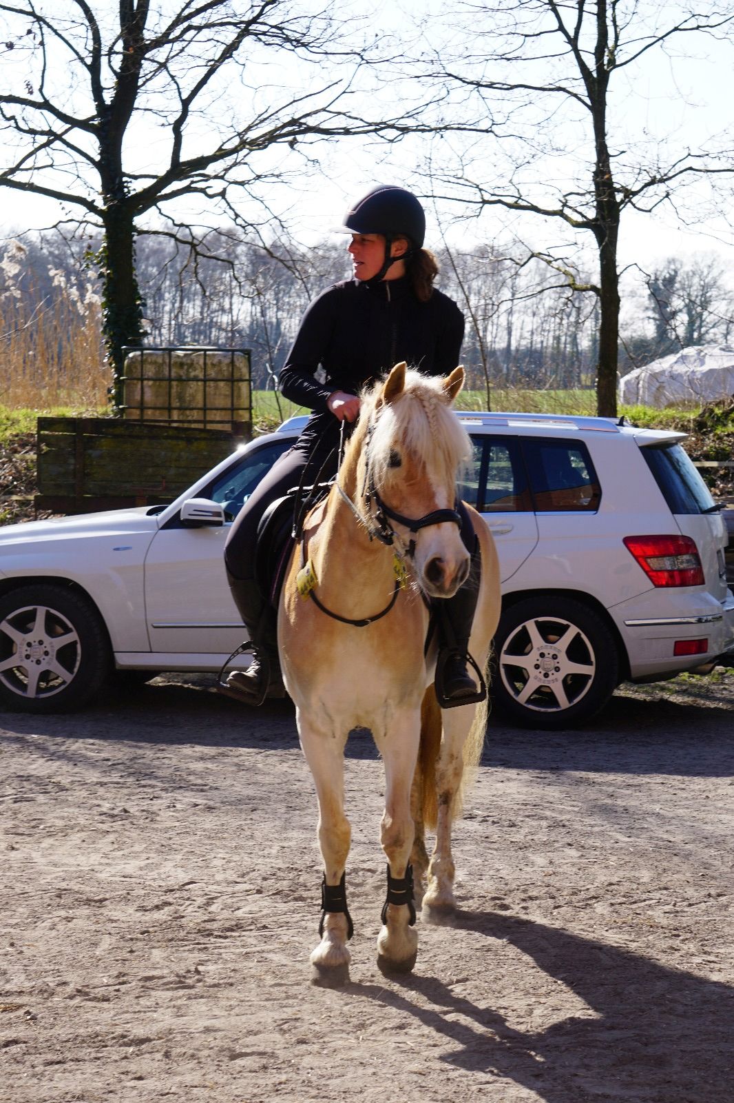 Haflingerausritt_BadLaer2025_0005