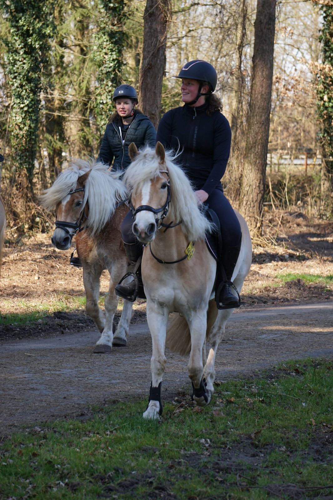 Haflingerausritt_BadLaer2025_0013