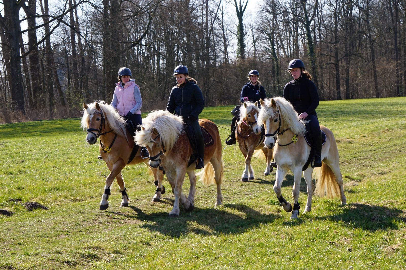 Haflingerausritt_BadLaer2025_0089