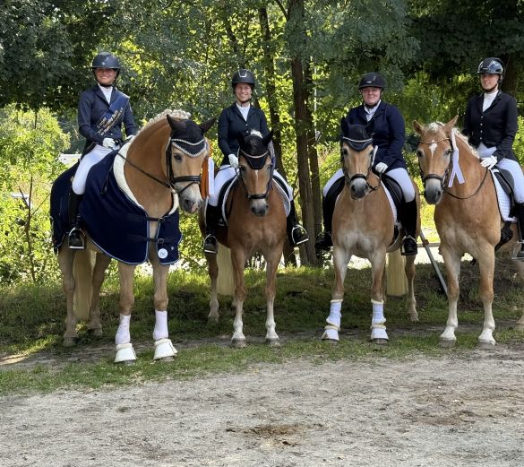 Haflinger Trophy A-Tour25_004