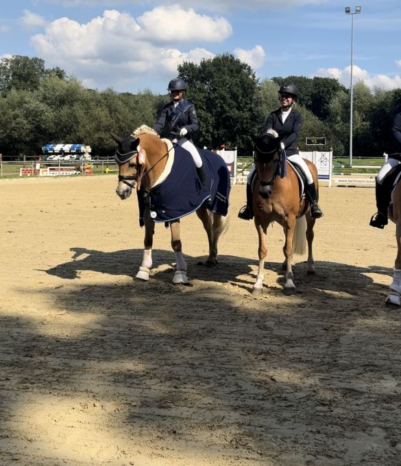 Haflinger Trophy A-Tour25_012