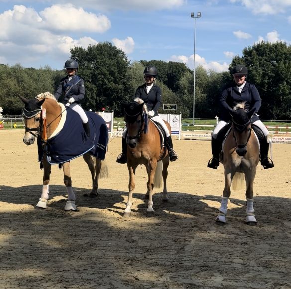 Haflinger Trophy A-Tour25_013
