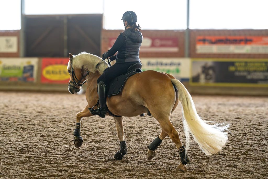 LehrgangLembeck25_007