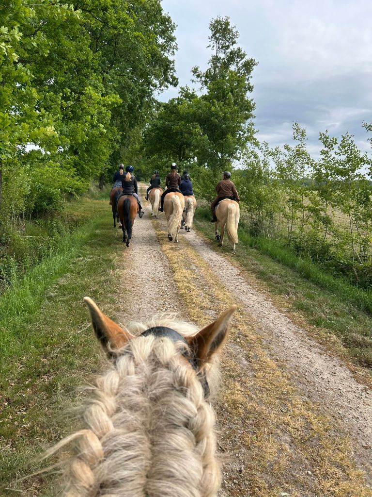 Haflingerausritt_Saerbeck2025_0008