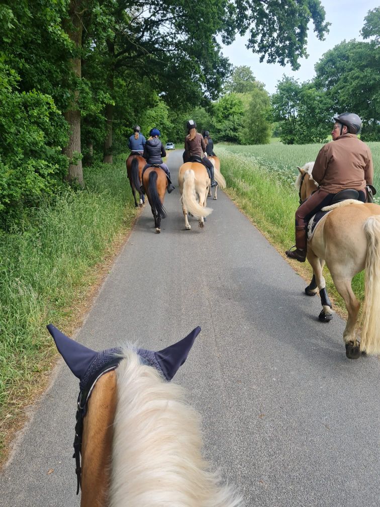 Haflingerausritt_Saerbeck2025_0019