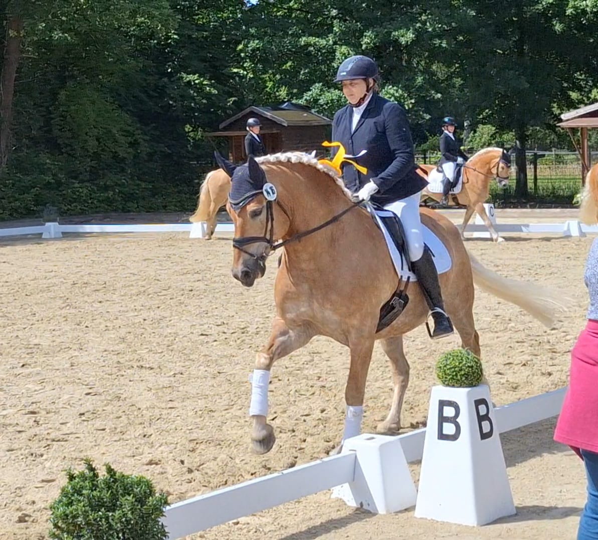 Steinhagen25_Sabine Sudbrock