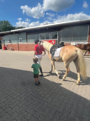 Stutenleistungspr&uuml;fung25_011