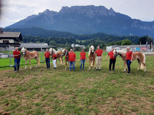 Haflinger Weltausstellung Ebbs 2025_002