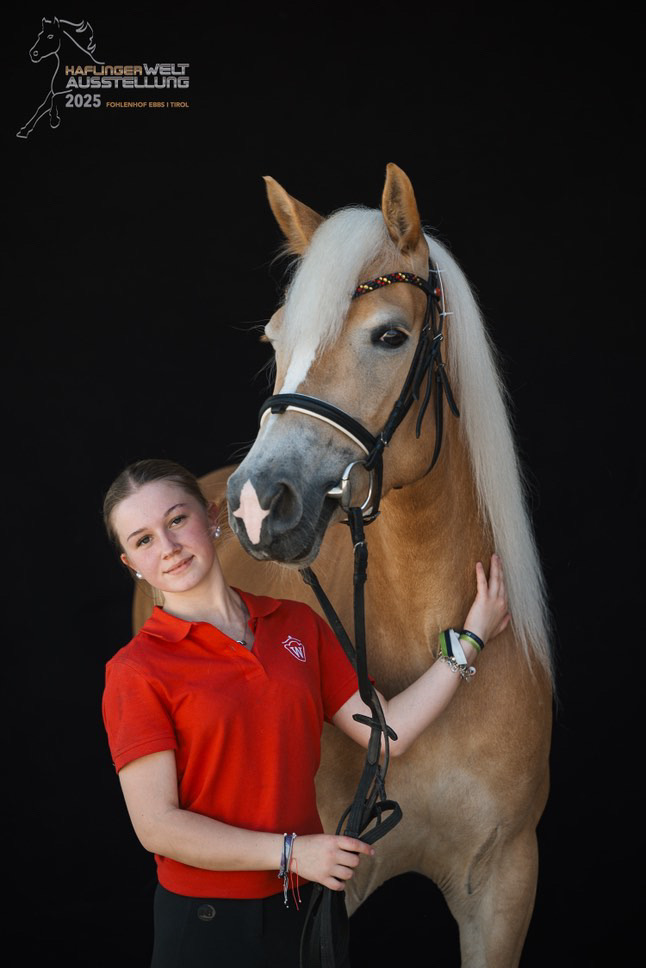 Haflinger Weltausstellung Ebbs 2025_003