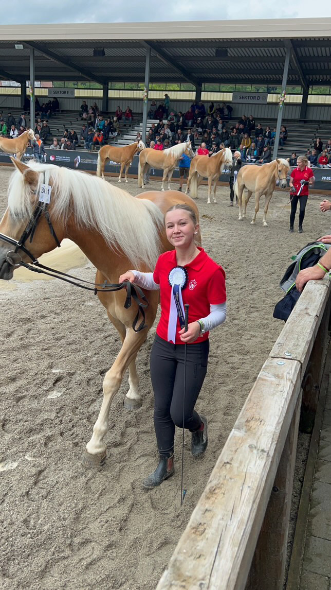 Haflinger Weltausstellung Ebbs 2025_010