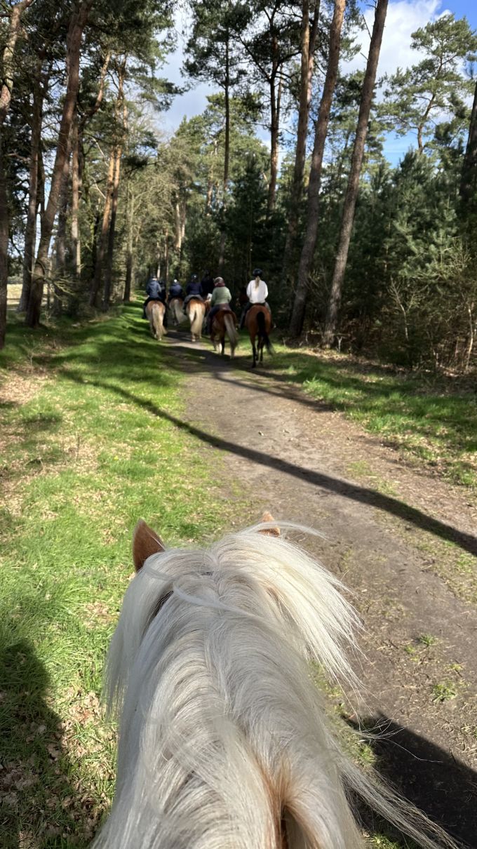 Osterausritt_06.04.26_0007