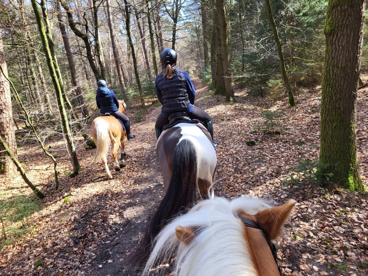 Osterausritt_06.04.26_0009