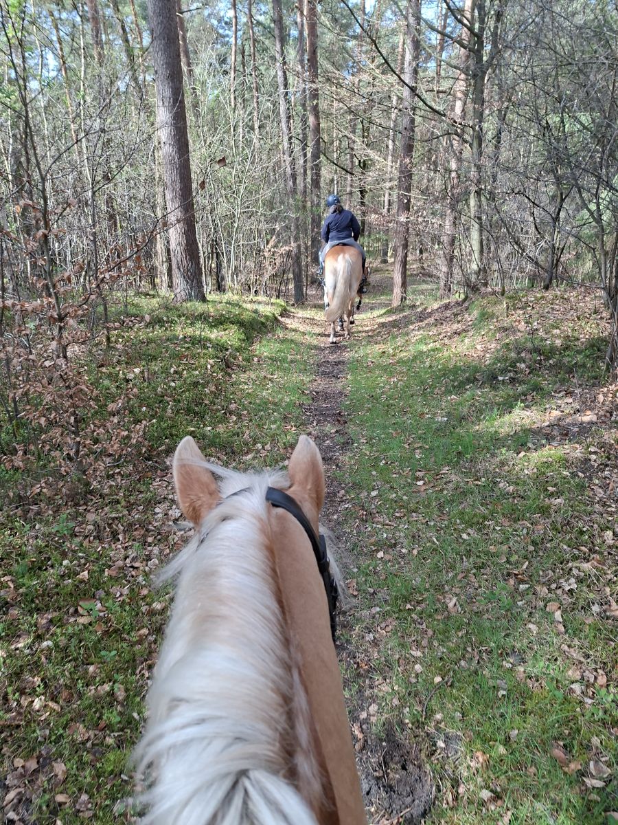 Osterausritt_06.04.26_0014