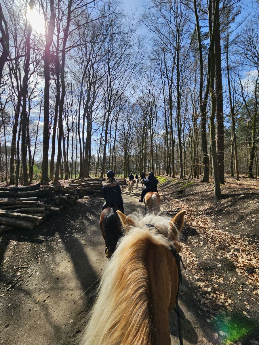 Osterausritt_06.04.26_0015