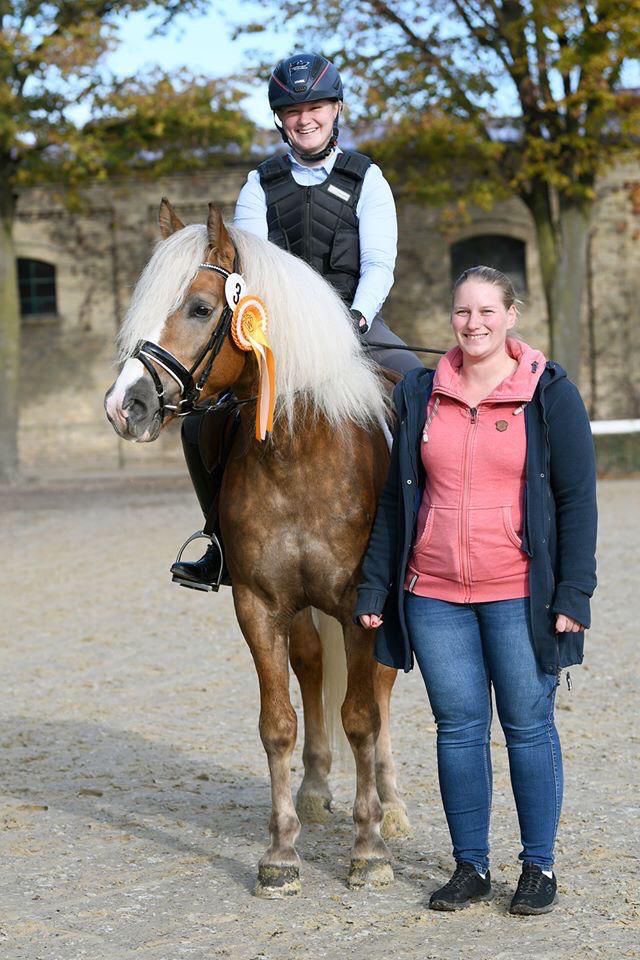 Haflingerhengst Witali_007