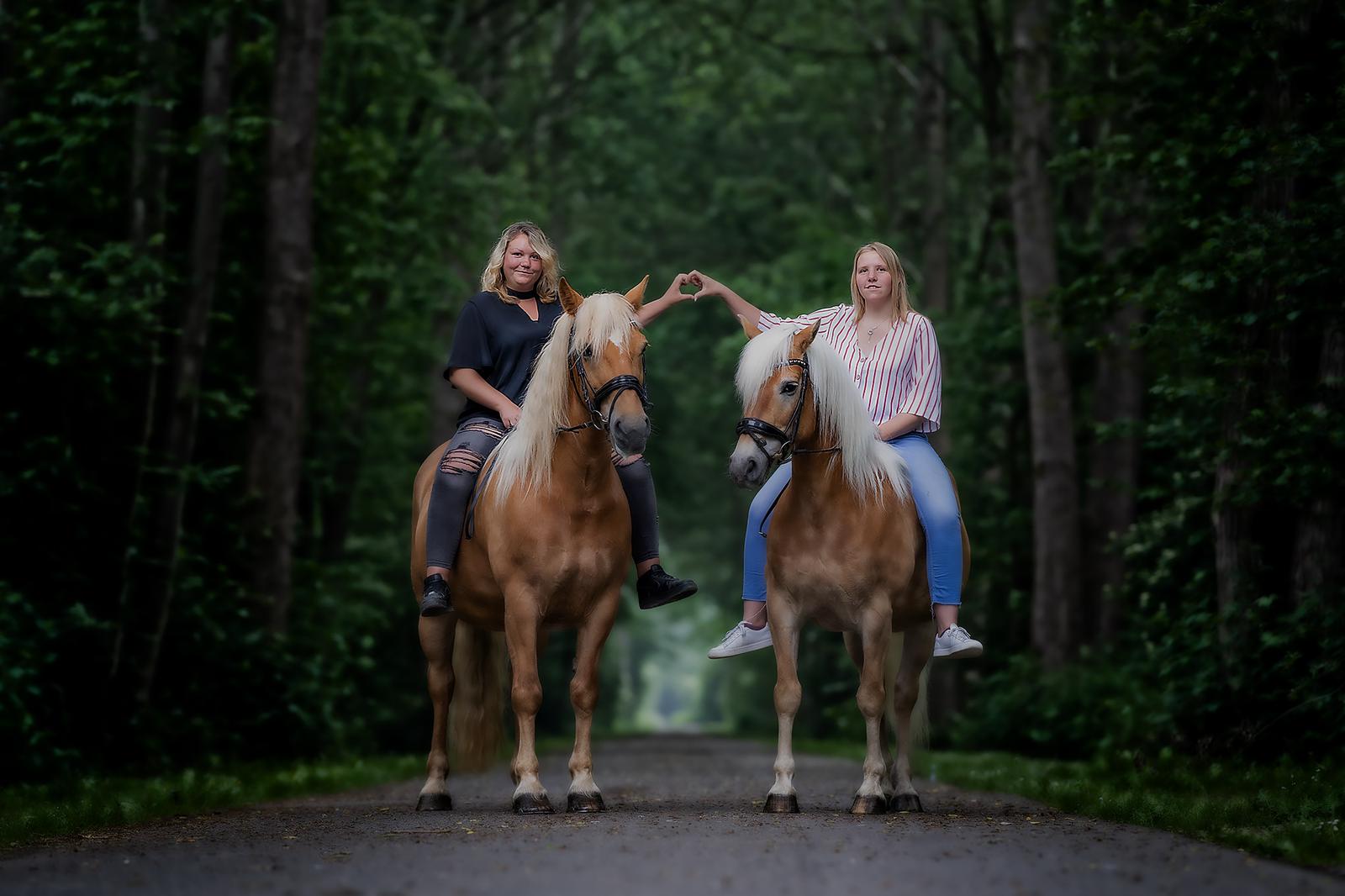 Haflingerhof Leeling_0006