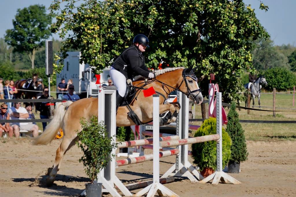 Sporthaflinger_ls_003