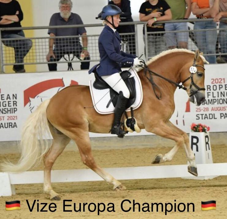 Haflingerhof Gernemann