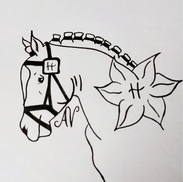 Haflingerzucht Annika Vo&szlig;